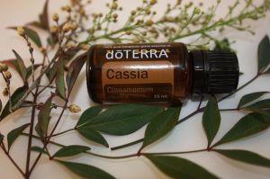 cassia