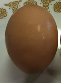 chicken egg