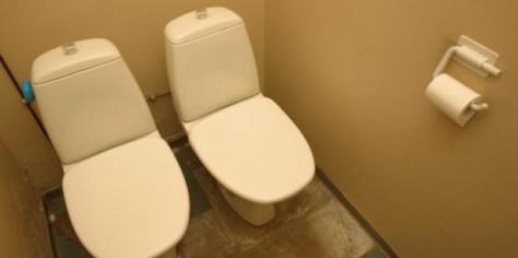 dual-toilets
