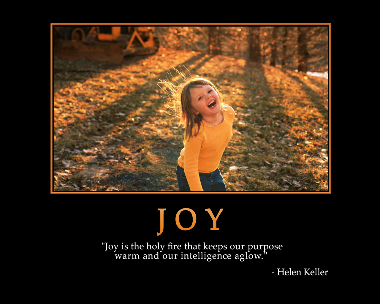 Funny Quotes About Joy. QuotesGram