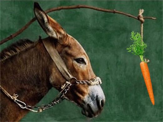 Hare Krishna: Performance Review - Carrot tied to Donkey