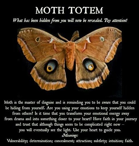 moth symbolism